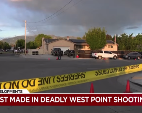 Elderly veteran shot